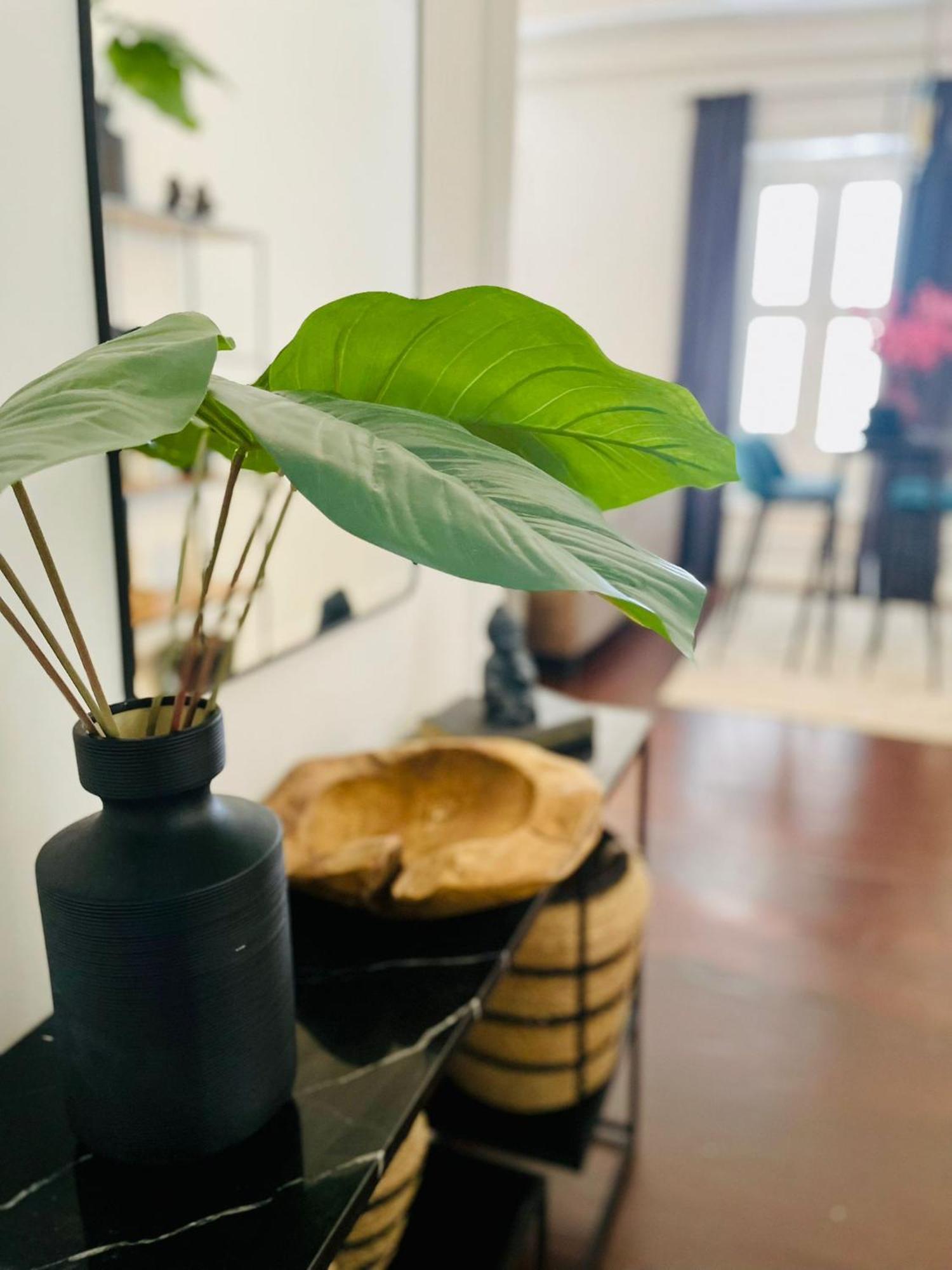 Atelier Skalo Boutique Hotel วิลเลมสตัด ภายนอก รูปภาพ